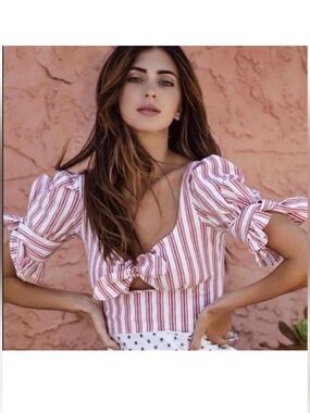 Stone Cold Fox Carlos Striped Crop Pink White Cotton Linen Top Size 1